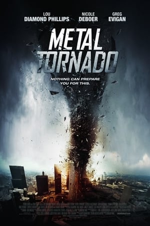 Metal Tornado 2011 Hindi Dual Audio 300MB HD Poster Download - filmyfly