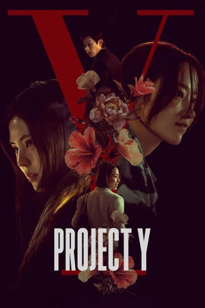 Project Y 2026 Hindi - Korean Dual Audio HD Poster Download - filmyfly