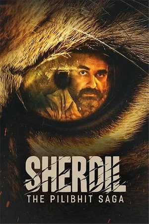 Sherdil: The Pilibhit Saga 2022 Hindi Dual Audio HD Poster Download - filmyfly