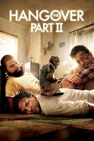 The Hangover Part II 2011 Hindi - English Audio HD Poster Download - filmyfly
