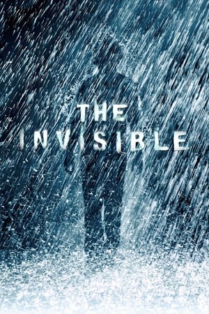 The Invisible 2007 Hindi Dual Audio [150MB] HD Poster Download - filmyfly